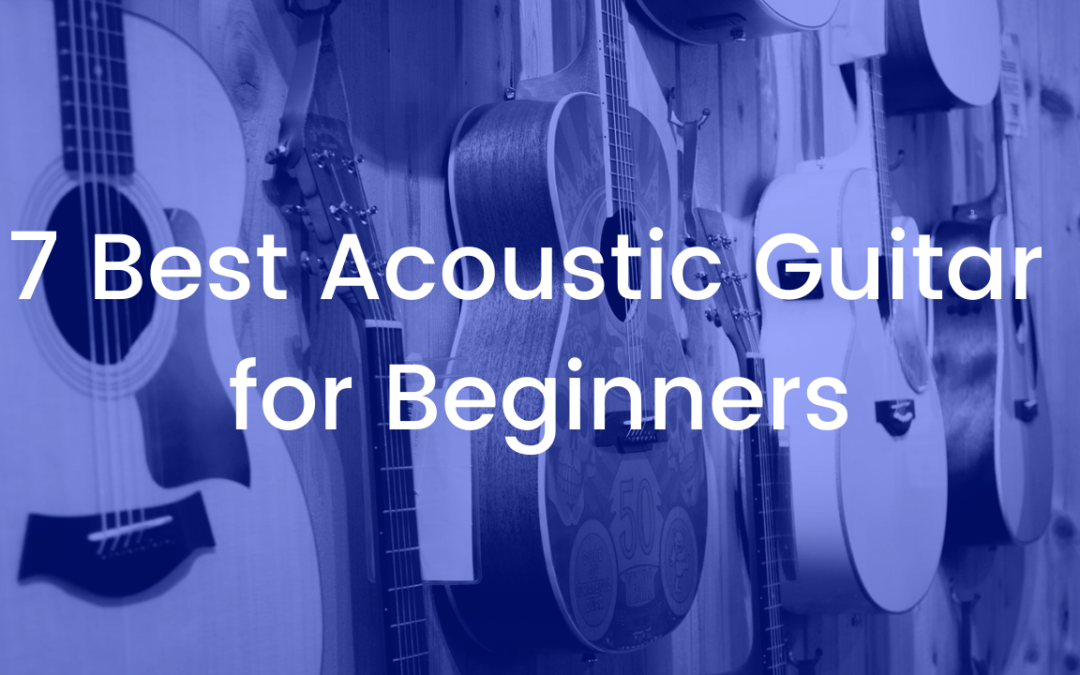 7 Best Acoustic Guitar for Beginners